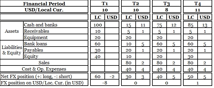 Currency risk, FX position, short position, long position, local currency, net margin, operating margin